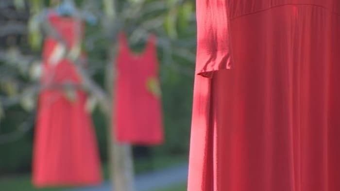 Des robes rouges sont suspendues aux arbres du parc Seaforth Peace, à Vancouver, pour souligner la Journée nationale d'action en faveur des femmes autochtones assassinées et disparues.