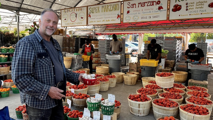 Le producteur Robert Beauregard devant des paniers de tomates au marché Jean-Talon.