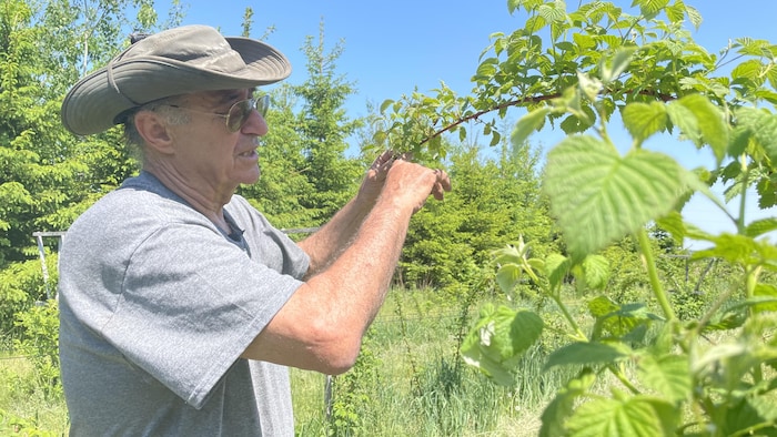 Le propriétaire des Fruits du Poirier, Robert Poirier dans un champ.