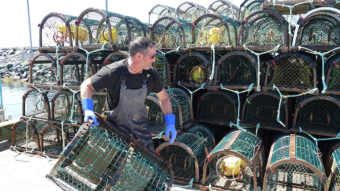 Roberto Bourgeois empile des casiers de homard.