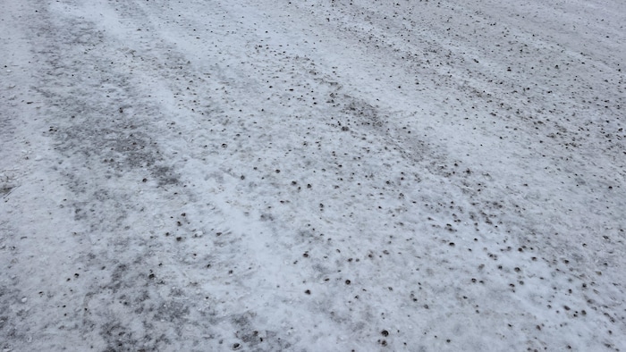 Des roches étendues sur une route enneigée.
