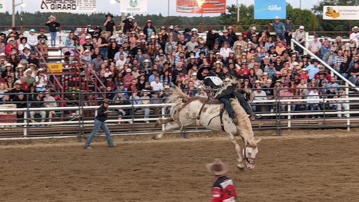 Un cavalier est expulsé de son cheval dans l'arène devant des spectateurs.
