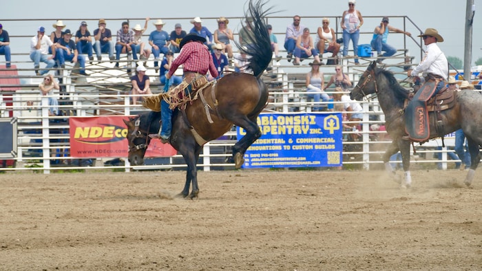Un cavalier chevauche un cheval lors d'un spectacle de rodéo au Stampede de Morris, au Manitoba, le 19 juillet 2025.