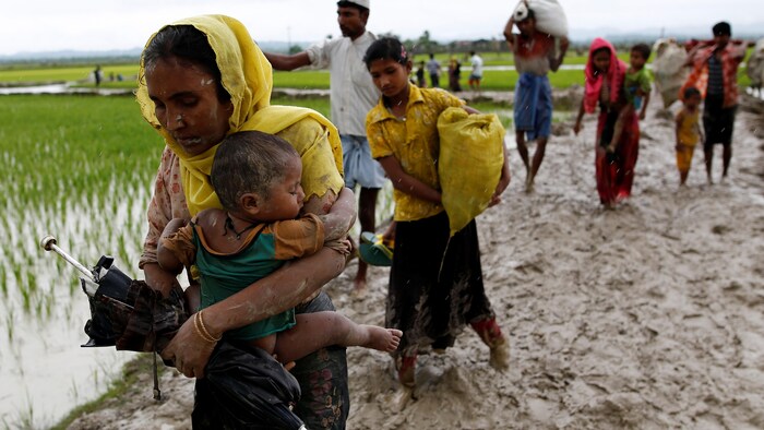 Les Rohingyas continuent de fuir le Myanmar par milliers.