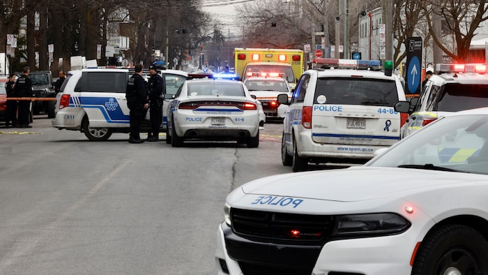 Plusieurs véhicules de police. 
