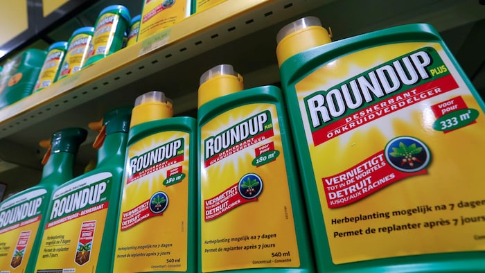 Roundup : Monsanto Condamnée à Verser 2,25 G $ US à Un Homme Atteint Du ...