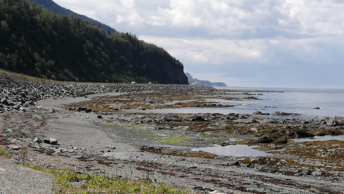 Une plage à marée basse. Derrière, on distingue des voitures qui circulent sur une route à flanc de montagnes.