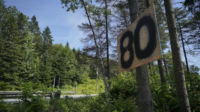Un panneau de bois accroché à un arbre, le nombre 80 a été peint à la main.