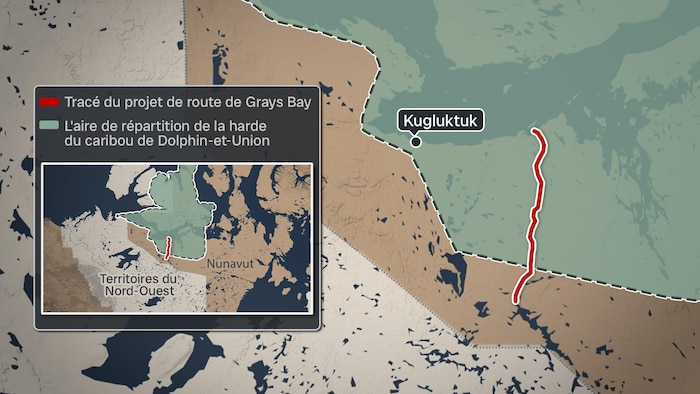 Une carte montrant le tracé de la route de Grays Bay superposé à l’aire de répartition du caribou de Dolphin-et-Union.