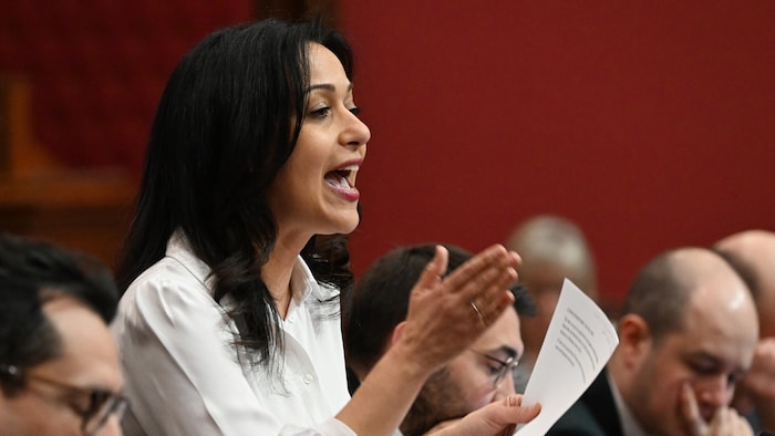 Ruba Ghazal lors d'un discours à l'Assemblée nationale.