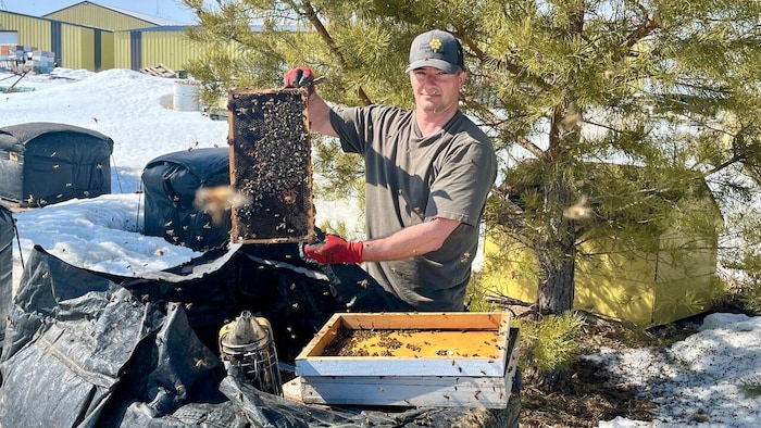 Simon Lalonde qui montre l'une de ses ruches d'abeille.