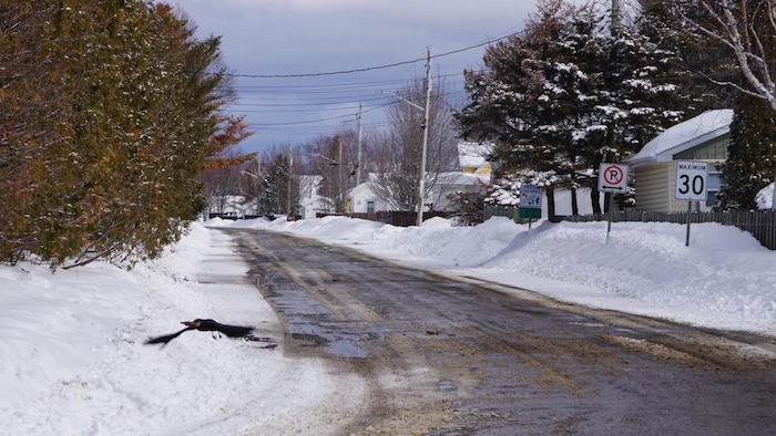 La rue des Tournepierres, à Maria
