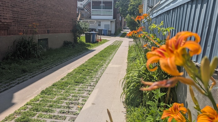 Une ruelle bordée de fleurs