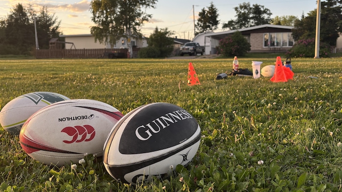 Trois ballons de rugby sont posés sur l'herbe.