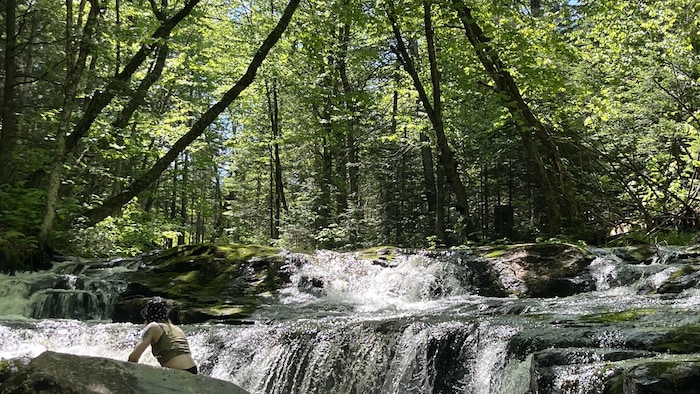 Ruisseau avec des petites chutes