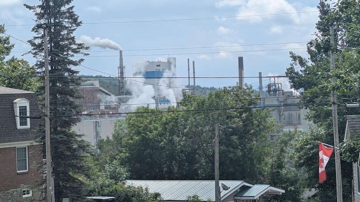 Quelques maisons et des arbres à l'avant-plan, et des cheminées d'usine un peu plus loin.