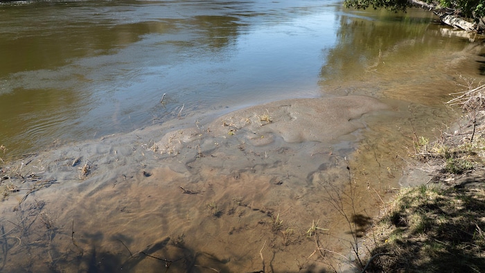 Un banc de sable sous l'eau, sur une rive de la rivière Matane.