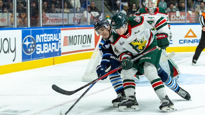 Deux joueurs bataillent pour la rondelle. 