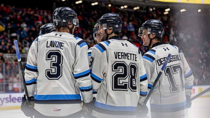 Des hockeyeurs célèbrent un but