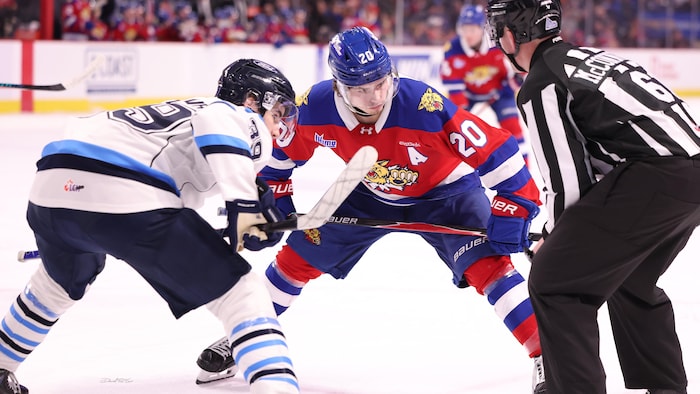 Deux joueurs de hockey qui s'apprêtent à faire une mise au jeu sur la patinoire. 