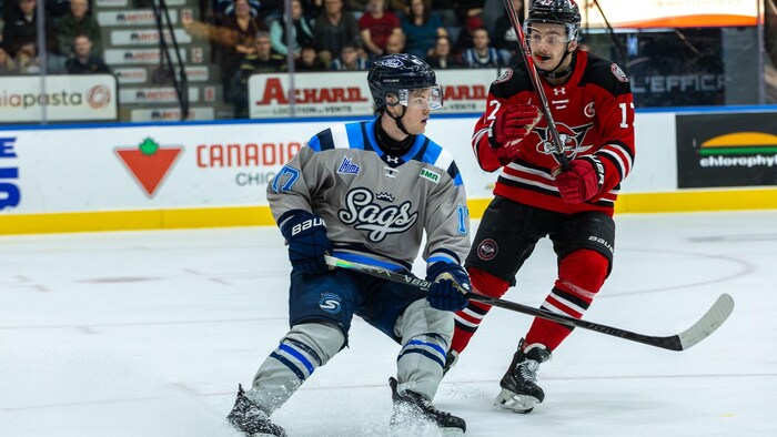 Deux joueurs de hockey.