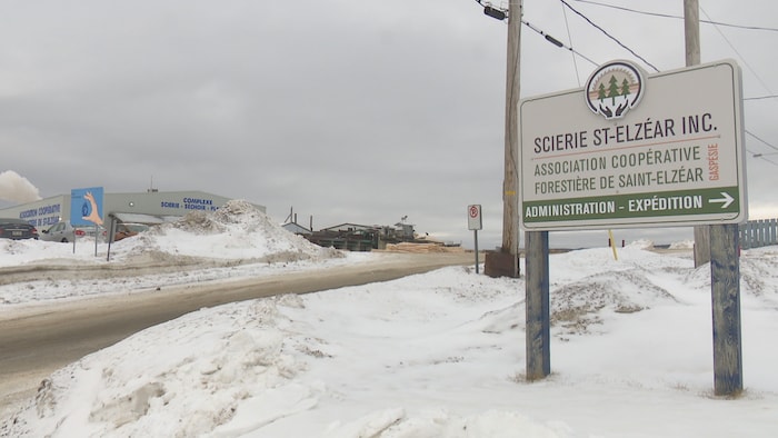 La coopérative forestière de Saint-Elzéar existe depuis 1944.