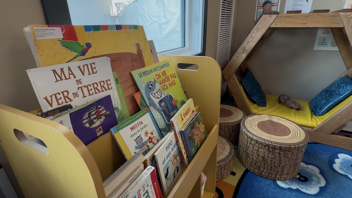 Des livres pour enfants écrits en français.