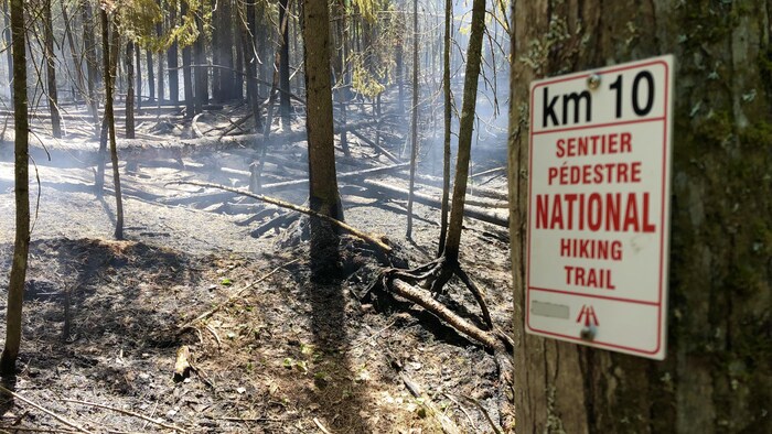 Une pancarte indiquant le sentier national et du bois brûlé.