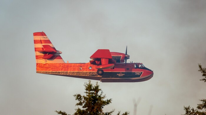 Un avion-citerne survole une forêt qui dégage de la fumée.