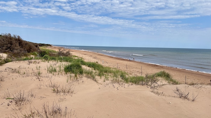 Une dune de sable et une plage.