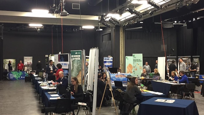 Le Cégep de l'Abitibi-Témiscamingue et l'Université du Québec en Abitibi-Témiscamingue (UQAT) tiennent ce jeudi le premier Salon stages et emplois 2017.