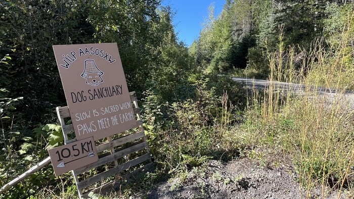 Un panneau indique le chemin vers le camp et le sanctuaire pour chiens de Teresa Brown.