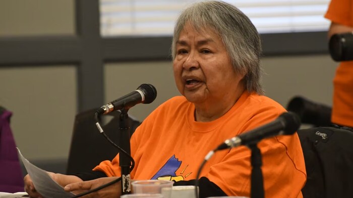 'We've come through an awful lot,' said Sandra Johnson, an elder from the Carcross/Tagish First Nation. (Jackie Hong/CBC)