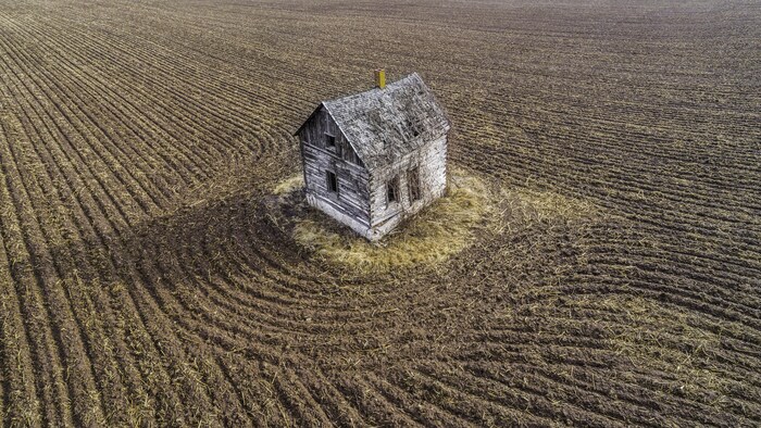 Une petite cabane isolée au milieu d'un champ.