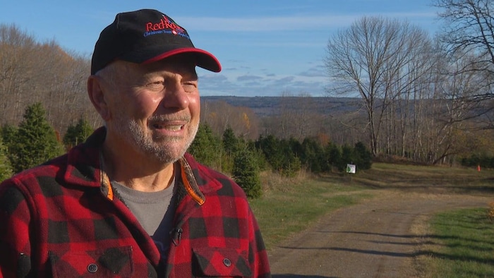 Un homme devant un champ de sapins.