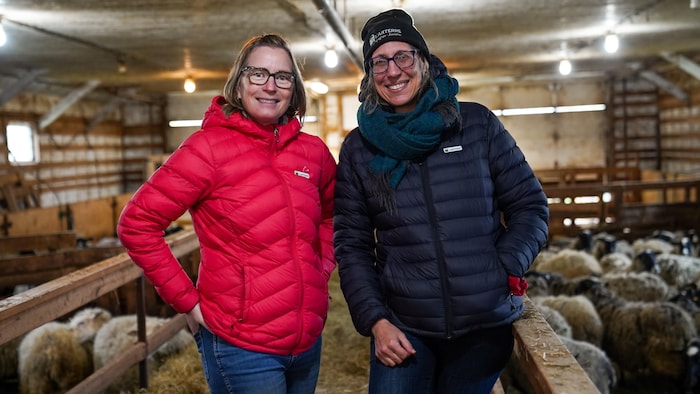 Deux femmes dans une bergerie.