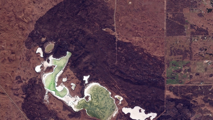 Une image satellite.
