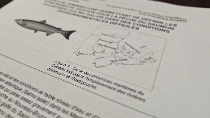 L'avis scientifique du ministère des Pêches et des Océans.