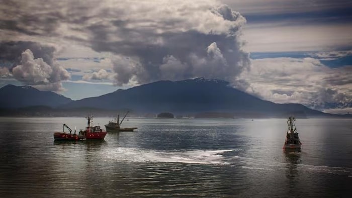 Trois bateaux de pêche au saumon sont photographiés au ample de l'Alaska.