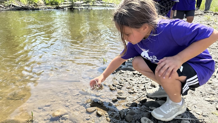 Enfant qui relâche un alevin dans la rivière Salmon, dans la région de Thompson-Okanagan.