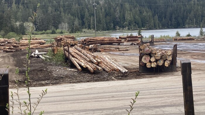 L'usine de copeaux Atli Chip, entre Port McNeill et Telegraph Cove.