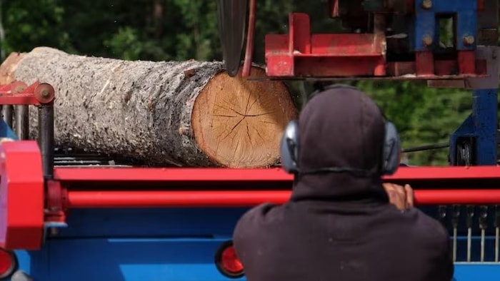Une scie industrielle s'apprête à couper un tronc d'arbre avec un homme vu de dos.  