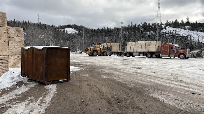 Des piles de planches et des véhicules de transport de bois sont visibles dans une grande cour couverte de neige.