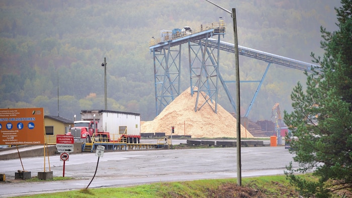 Une montagne de poussière de bois s'accumule sous la structure extérieure de la scierie Rivières-aux-Rats.