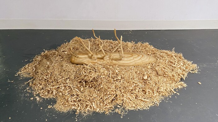 A sculpture of an emerald ash borer lying on a pile of sawdust.