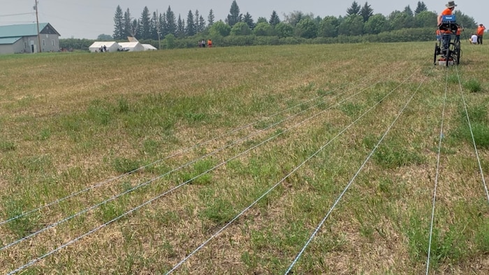 Battlefords Agency Tribal Chiefs will search the Delmas site, pictured here, plus the grounds at Battleford Industrial School and lands closer to the North Saskatchewan River.