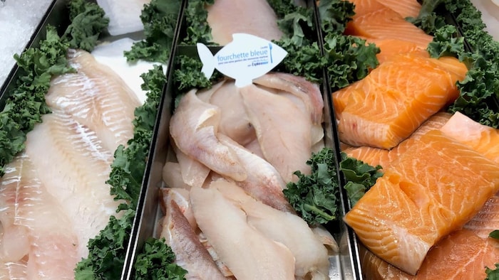 Un étalage de poissons en épicerie.