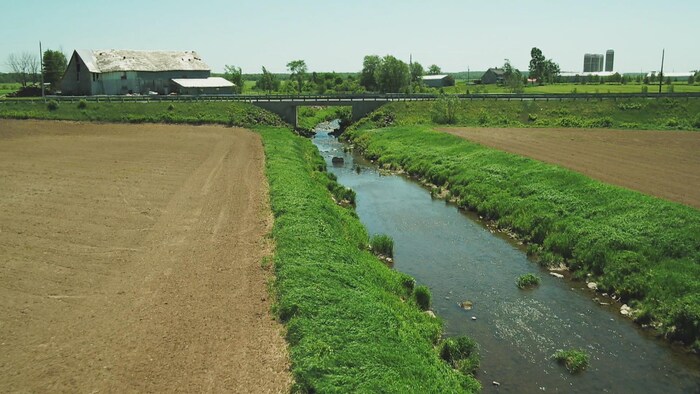 La rivière Boyer qui passe entre deux champs en culture.