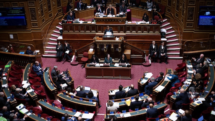 Senate of France, at Paris.