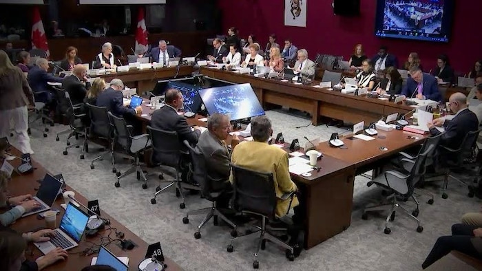 Des sénateurs sont réunis autour d'une table lors d'une rencontre de comité.